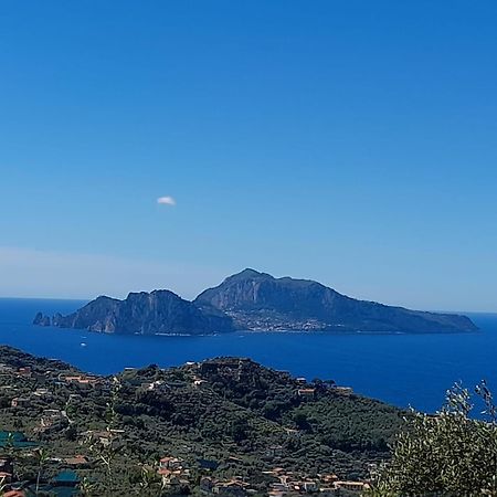 Al Calar Del Sole Βίλα Massa Lubrense Εξωτερικό φωτογραφία